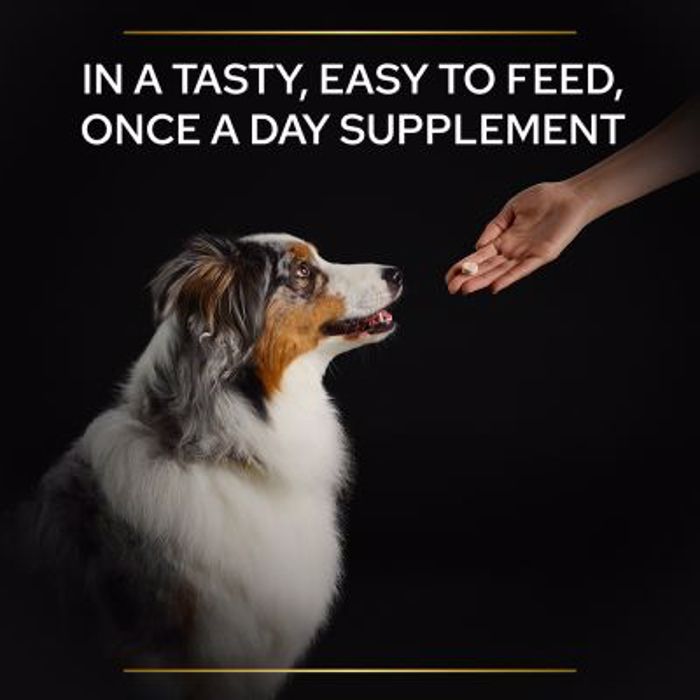 PRO PLAN Συμπλήρωμα Διατροφής Dog Adult Natural Defences Supplement 45 Δισκία PRO PLAN Sumpliroma Diatrofis Dog Adult Natural Defences Supplement 45 Diskia